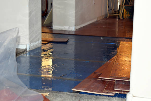 Professional Flood Cleanup technician working in Fremont, MI