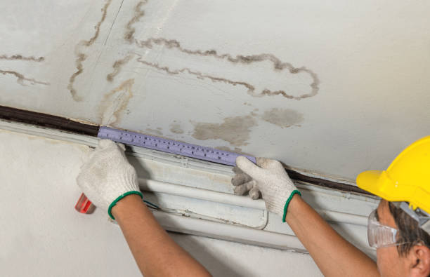 Reliable Flood Cleanup contractor in Fremont, MI by Water Damage Irwin